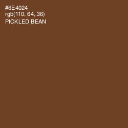 #6E4024 - Pickled Bean Color Image
